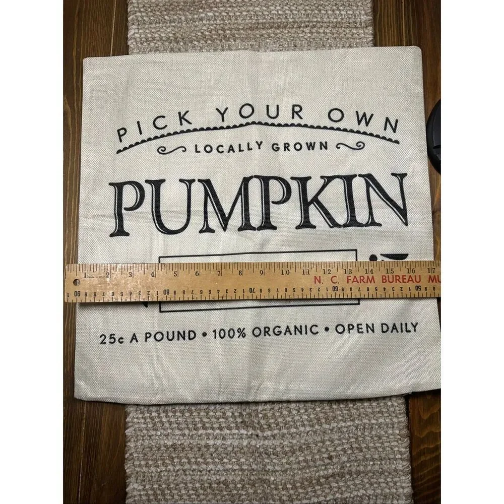 Autumn fall pumpkin throw pillow case cover 17 x 17 New